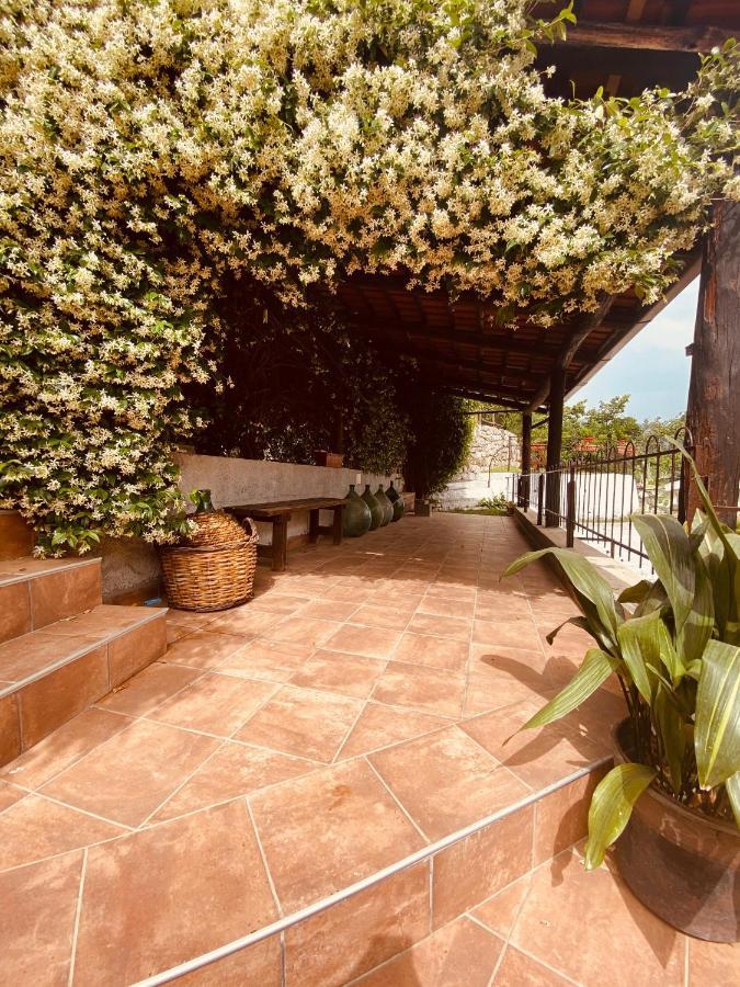 سابري Bed & Breakfast Spigolatrice المظهر الخارجي الصورة